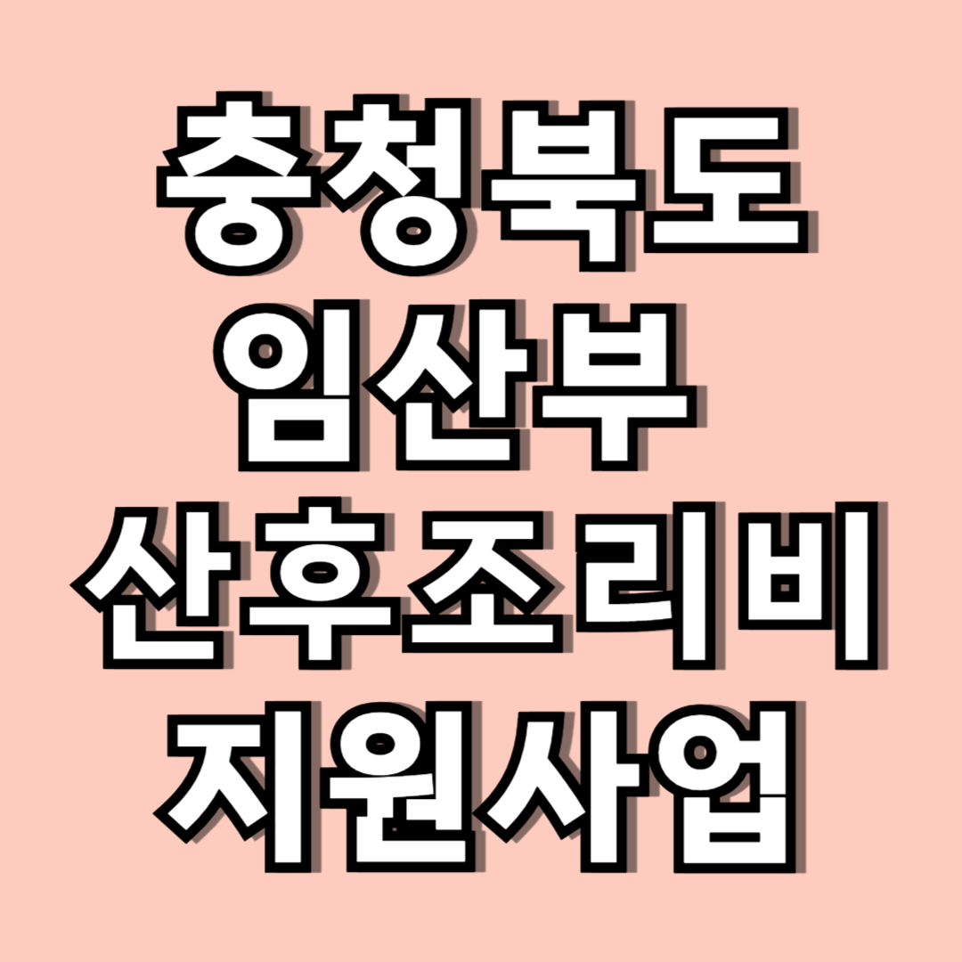 충북 임산부 산후조리비 관련 사진