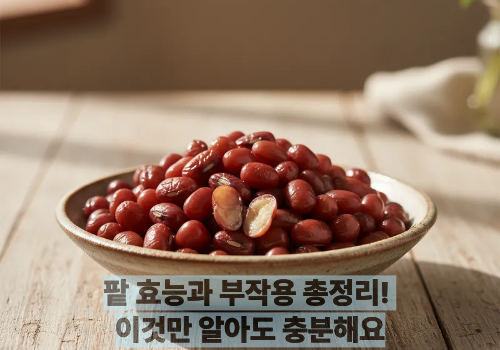 팥 효능과 부작용 총정리! 이것만 알아도 충분해요