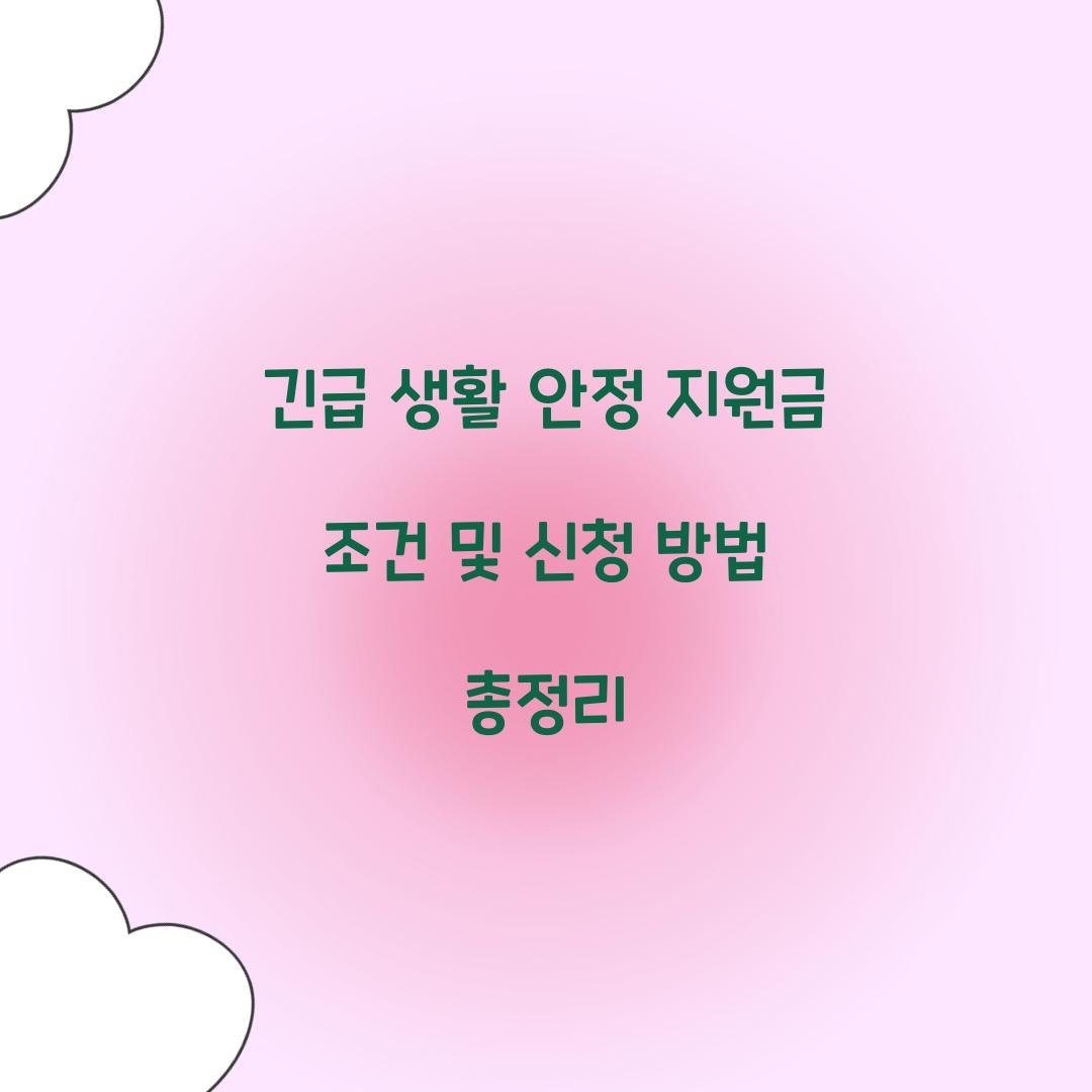 긴급 생활 안정 지원금