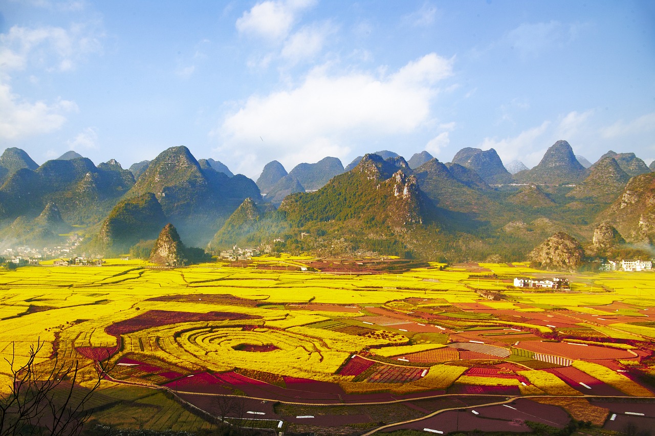 관매도 유채꽃 축제 섬 전체가 노랗게 물드는 봄날