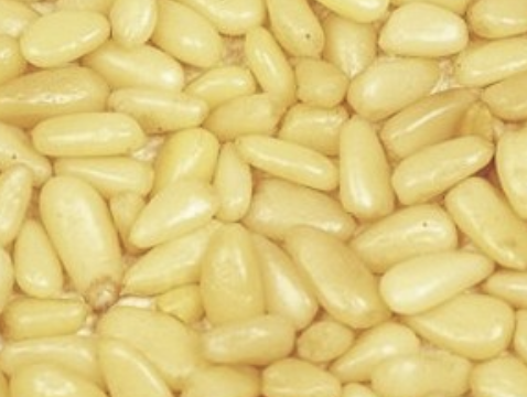 잣-많이-먹으면