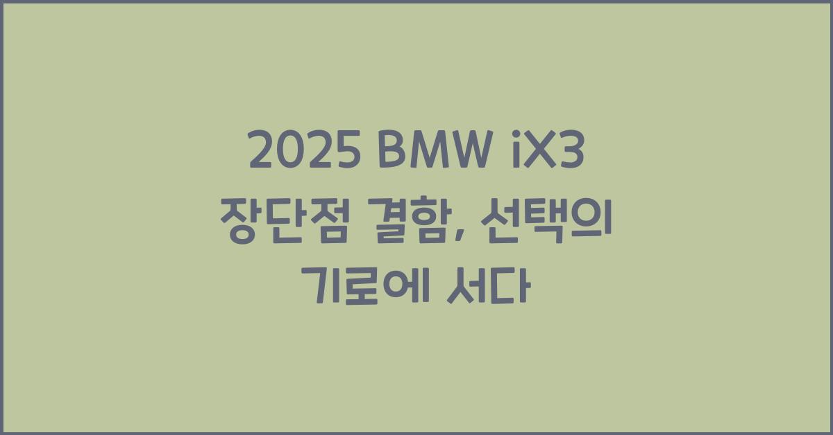 2025 BMW iX3 장단점 결함