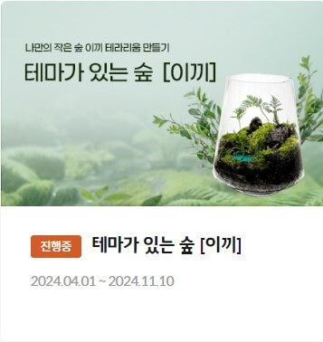 화담숲 가을 단풍시기