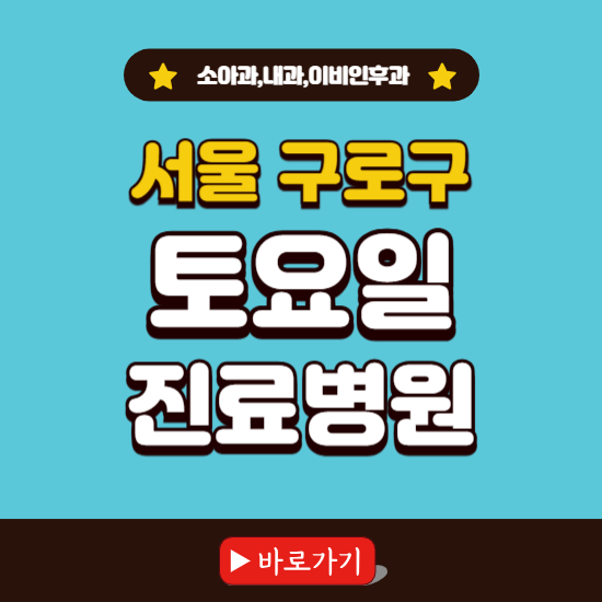 서울 구로구 토요일 진료 병원 찾기 ❘ 주말 문여는 소아과, 내과, 이비인후과 리스트