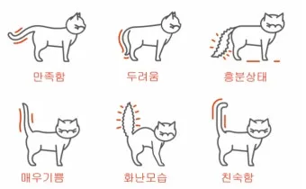 &amp;quot;고양이