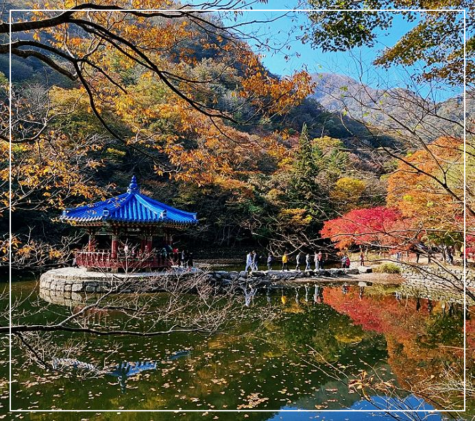 내장산-단풍-명소-우화정