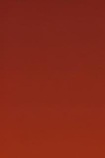 일론 머스크 창당 선언! 미국 정치 격변 예고