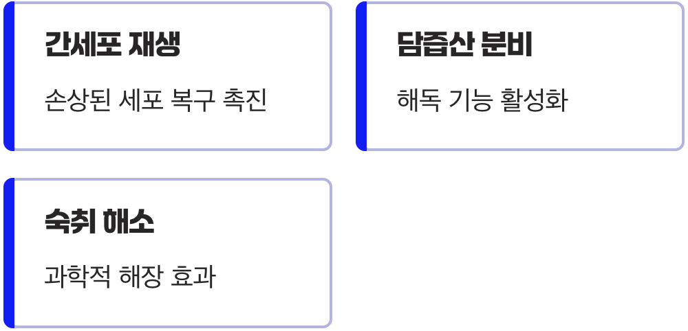 지친 간을 깨우는 활력 에너지
