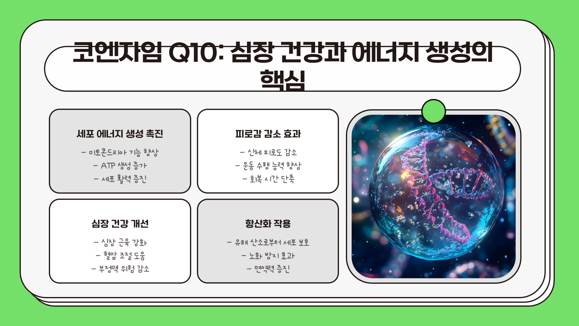 50대 남성 필수 영양제