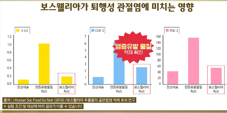 보스웰리아 효능
