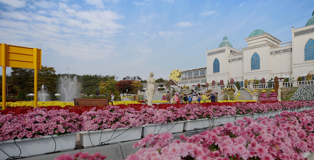 전북 6월 꽃구경 가볼만한곳 베스트 10&amp;#44; 갈만한 축제 여행지 추천