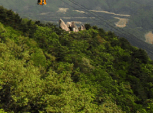 팔공산 케이블카 예약