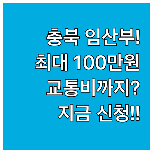 2025 충북 군 지역 임산부 최대 ..