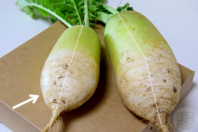 맛있는 무 고르는 법, 바람든 무 구별법, 깍두기 김장 김치,생활 팁줌 매일꿀정보