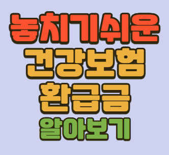 건강보험 환급금 썸네일 사진