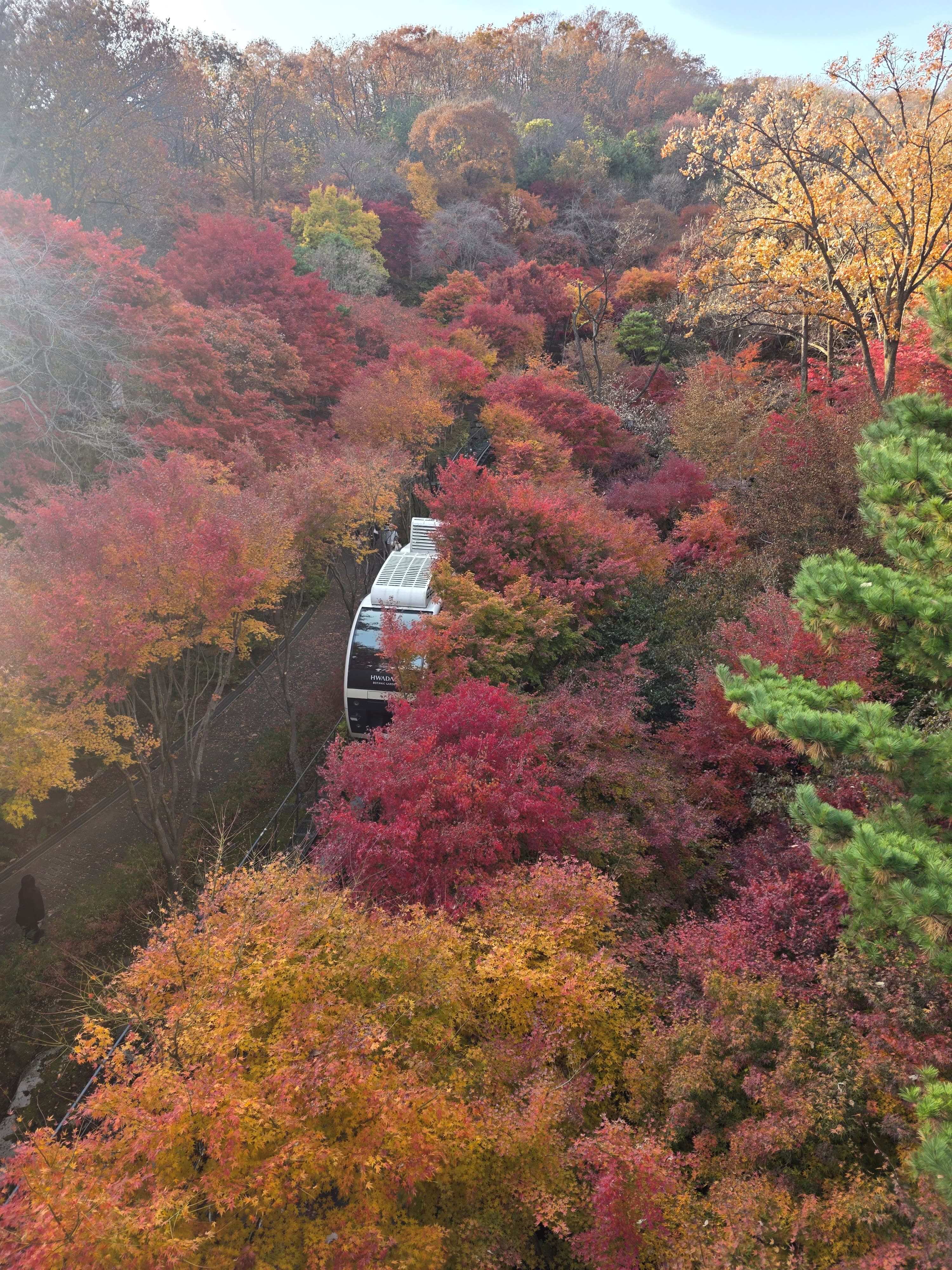 화담숲 예약 (단풍 시즌, 모노레일)