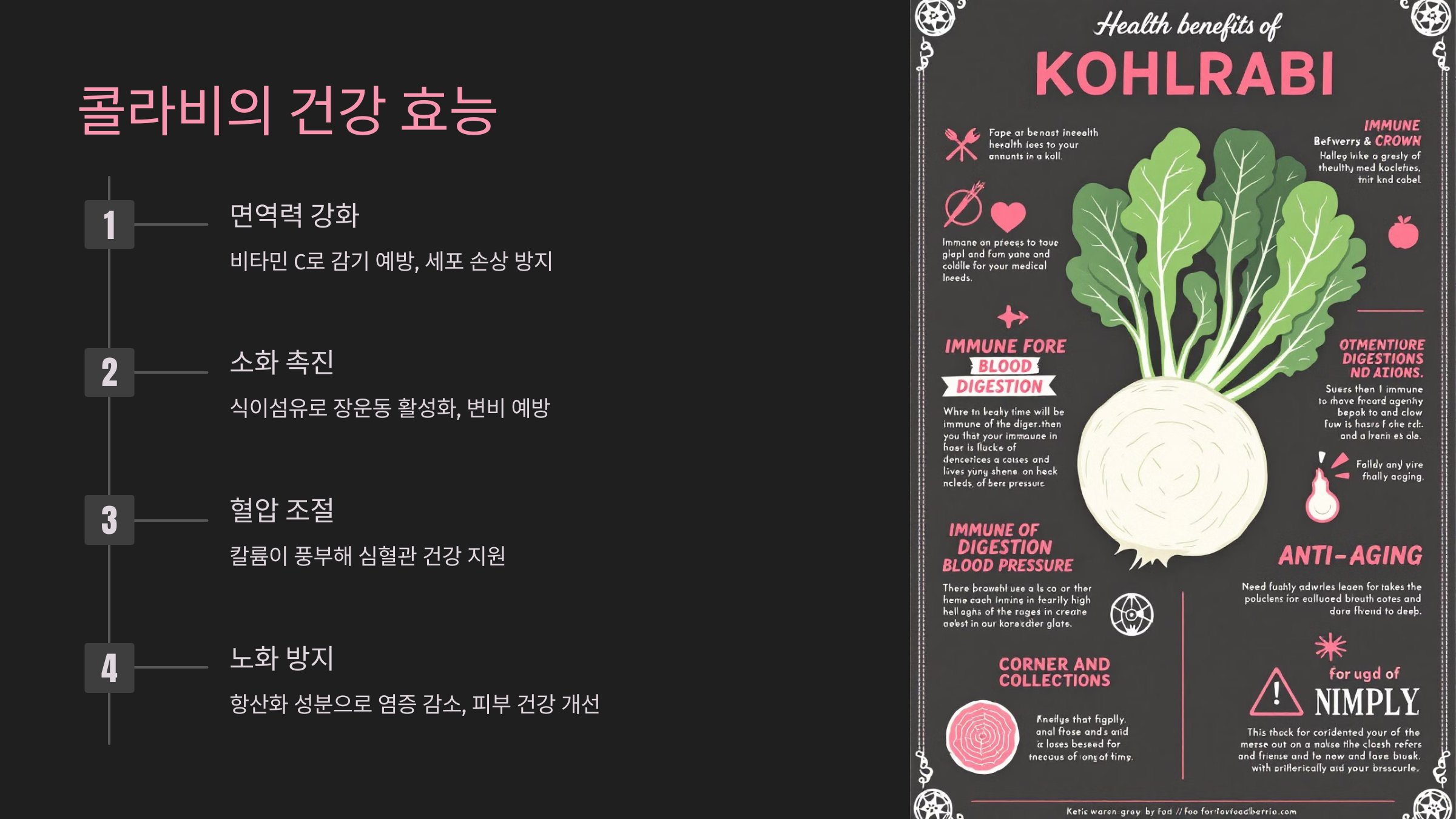 콜라비의 건강 효능