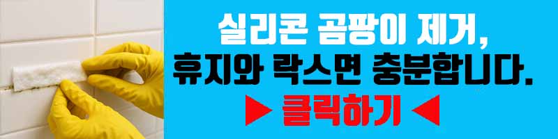 실리콘 곰팡이 제거, 휴지와 락스면 충분합니다.
