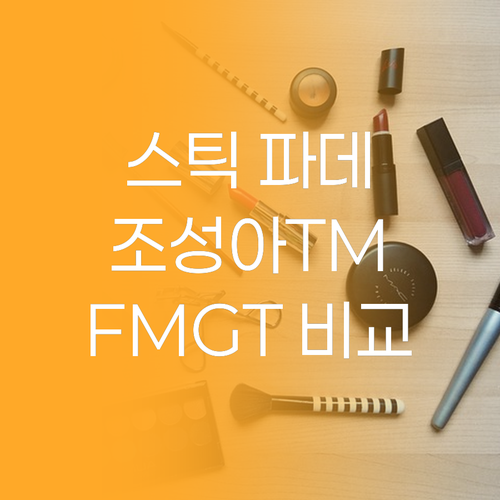 스틱 파운데이션 완벽 분석 조성아TM