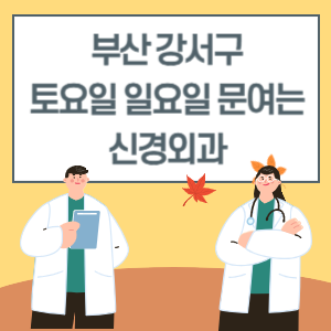 부산 강서구 토요일 일요일 신경외과 진료 병원 리스트