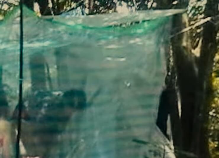 jms-넷플릭스-정명석