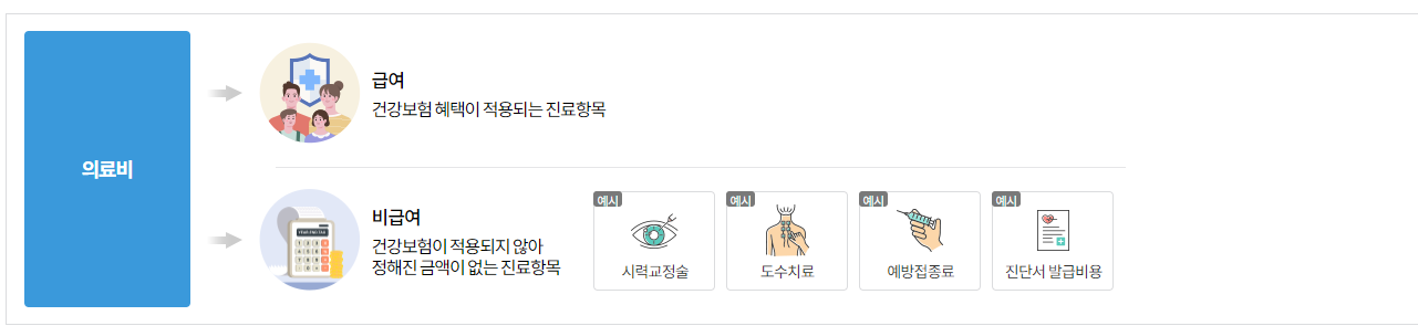 의료비의 구성 (급여 와 비급여) _출처: 건강보험심사평가원