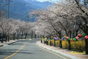 곡성 가볼만한곳 베스트10 기차마을 섬진강길 카페 산책_18
