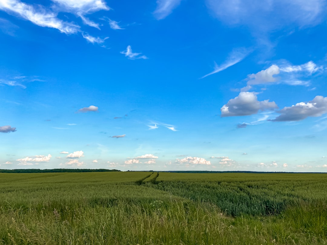 land