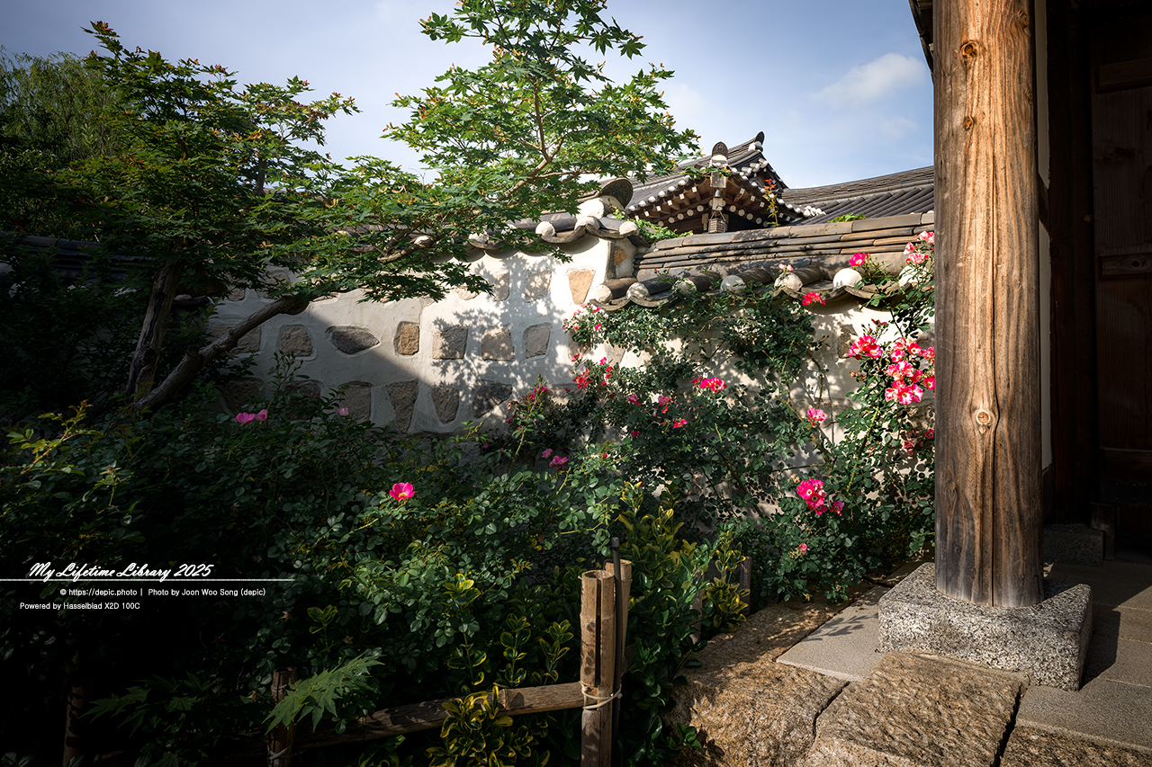 #논산 #선샤인랜드 #선샤인스튜디오 #드라마 #셋트 #미스터선샤인