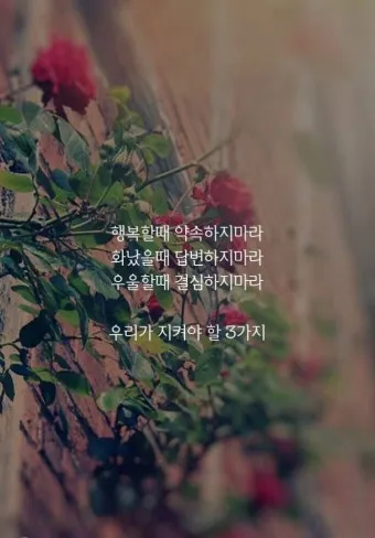 인생 교훈 아침 글귀 마음챙김 습관 은퇴 준비 하루를 따뜻하게 여는 한줄_18
