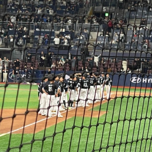 2024년 MLB 팀 인기 (최다 팬, 경기 매진, 화제성)