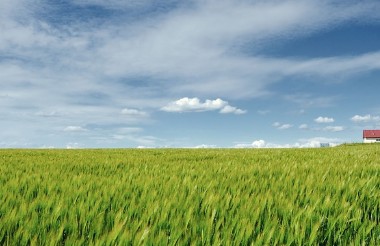 입춘대길 붙이는 시간 방법