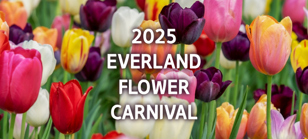 에버랜드 플라워 카니발 이미지