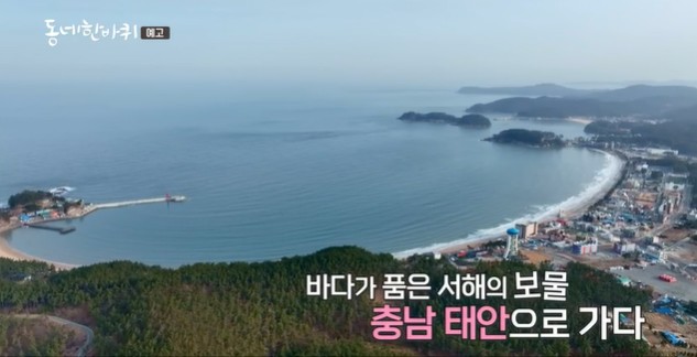 충남-태안