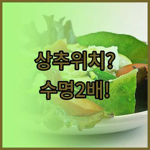 상추 보관 위치만 바꿔도 수명이 두 ..