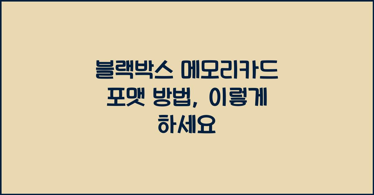 블랙박스 메모리카드 포맷 방법