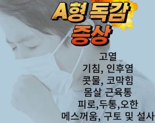 A형 독감 증상