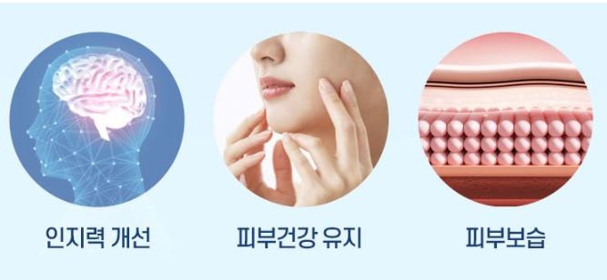 포스파티딜-세린-효능