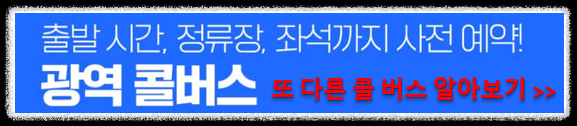광역 콜 버스
