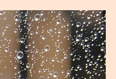 장마 예상 기간 2025년