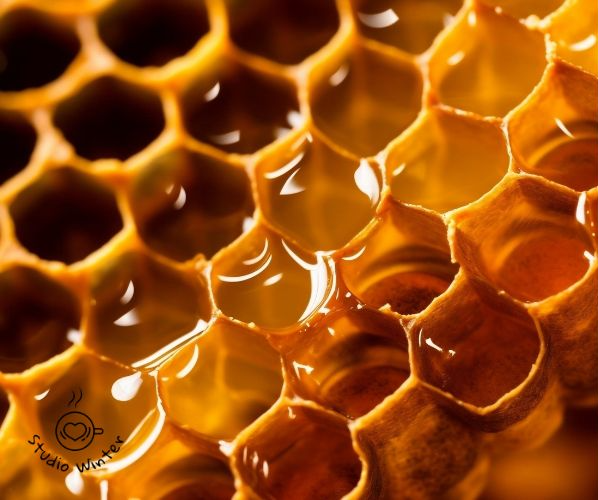 프로폴리스 효능