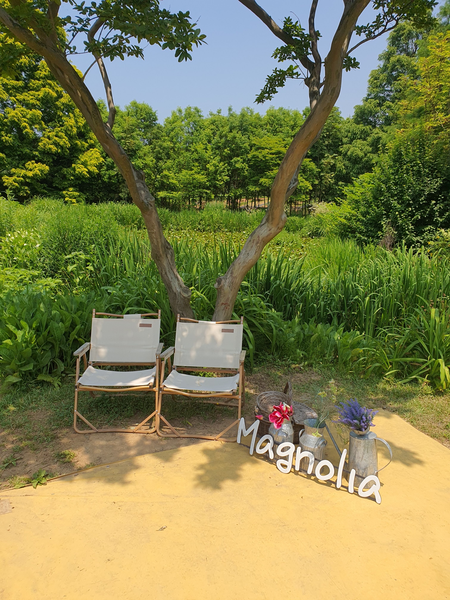 태안 천리포수목원 사진