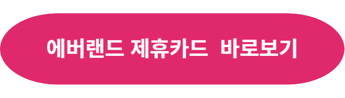 에바ㅓ랜드 제휴카드 바로보기