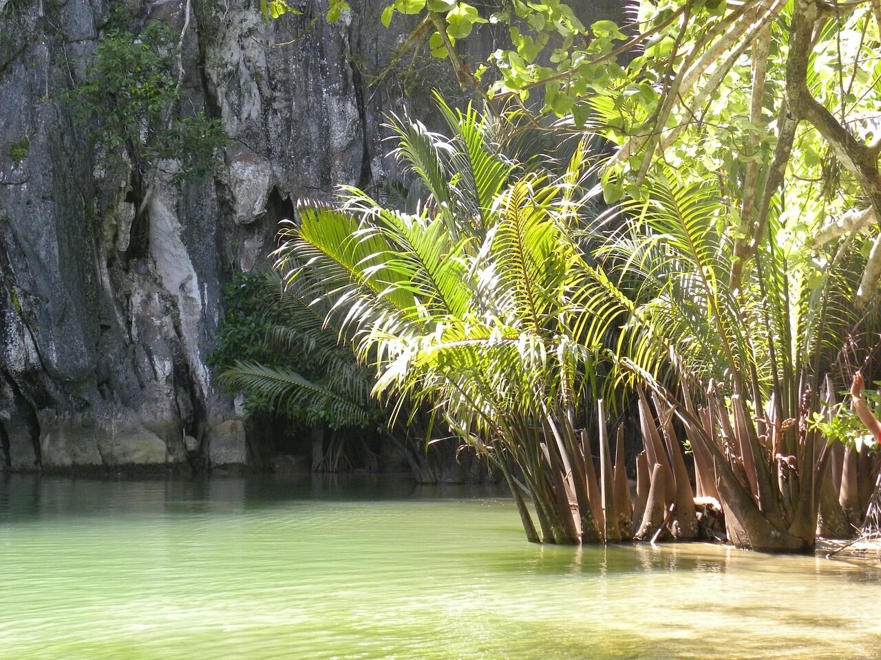 충주 활옥동굴 입장료 카약 운영시간
