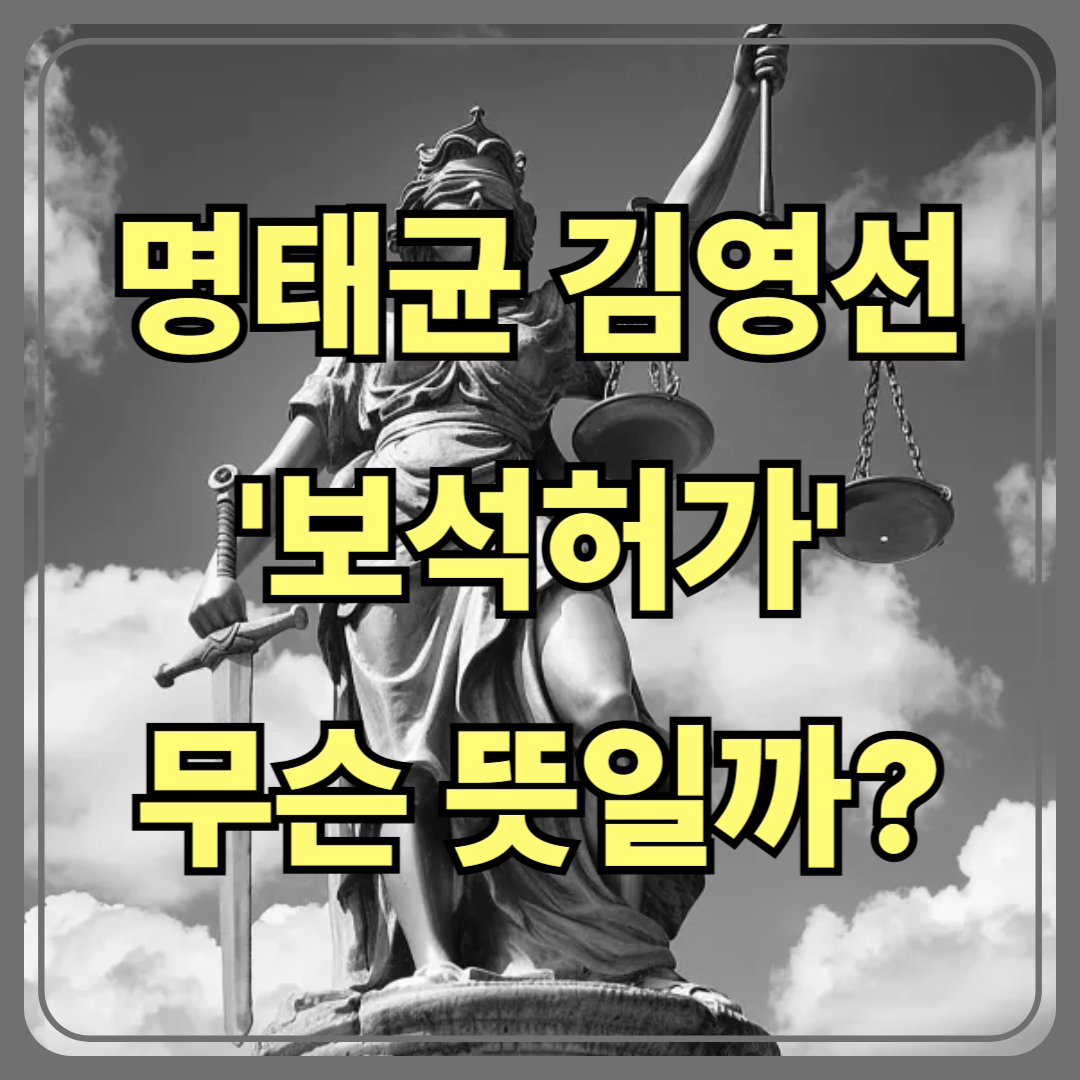 명태균·김영선 ‘보석 허가’, 무슨 뜻일까?
