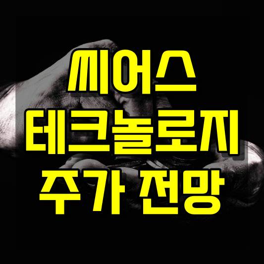 씨어스테크놀로지 주가 전망