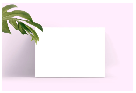 어르신 면허증 반납 혜택