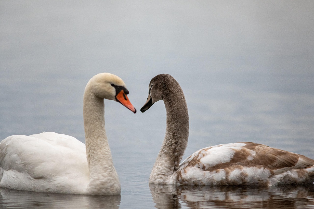 사회초년생을 위한 경제 공부 필수 지식 (금리, 저축, 투자)