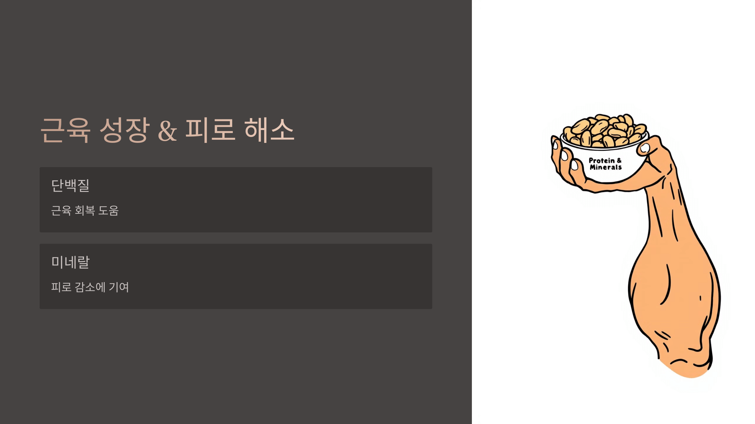 땅콩 사진입니다.