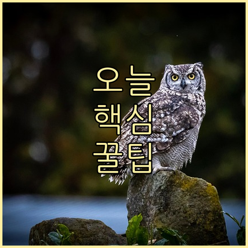 중소기업 자금난 해소 상생페이백 무증..